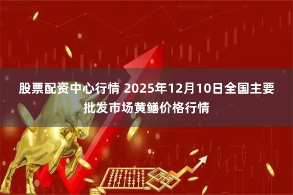 股票配资中心行情 2025年12月10日全国主要批发市场黄鳝价格行情