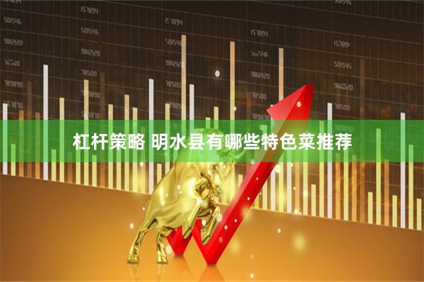 杠杆策略 明水县有哪些特色菜推荐